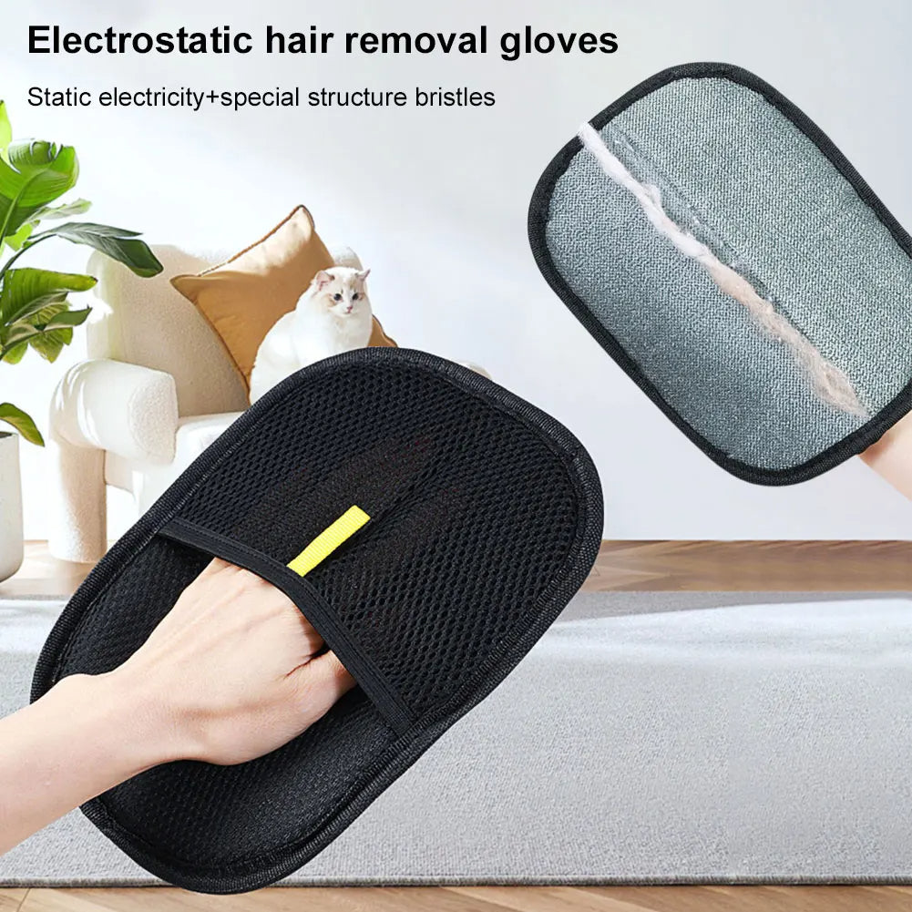 Electrostatic pet hair removal glove for furniture and carpet cleaning, cat on sofa